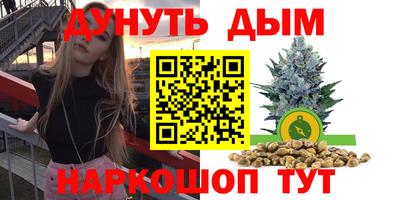 гашик Тула