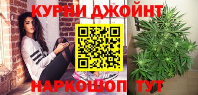 гашик Тула