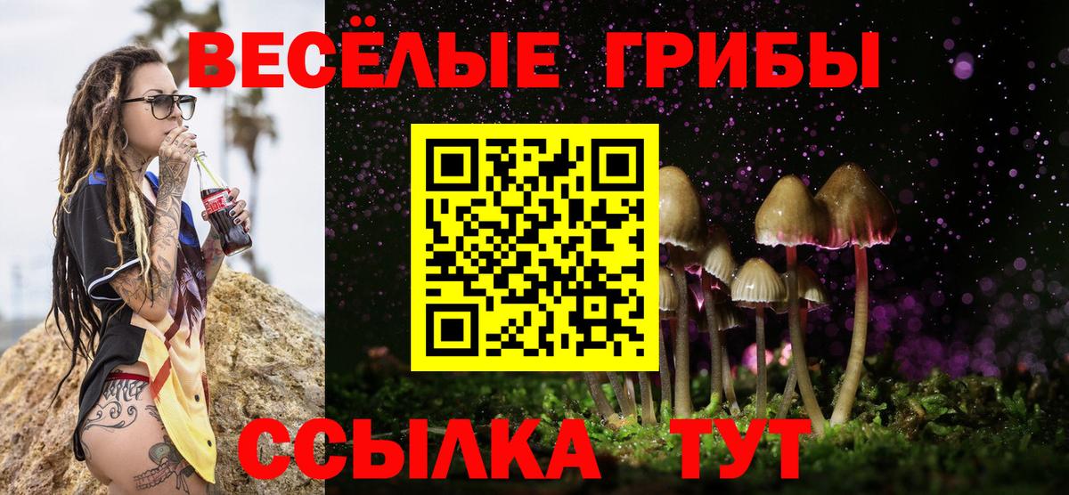 Галлюциногенные грибы Psilocybine cubensis Тимашёвск