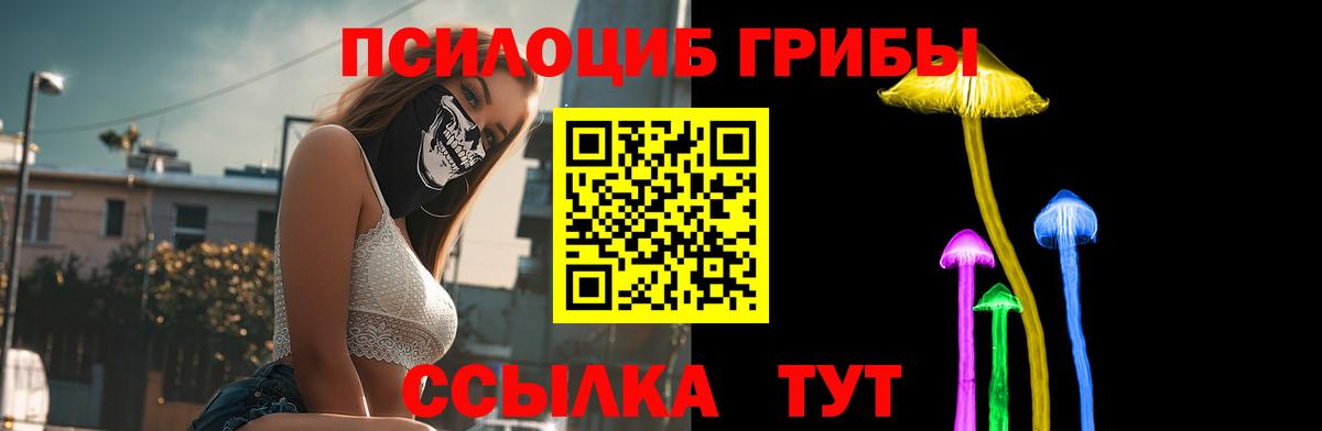 Тимашёвск  как найти закладки  Вход с VPN  Псилоцибиновые грибы мицелий 